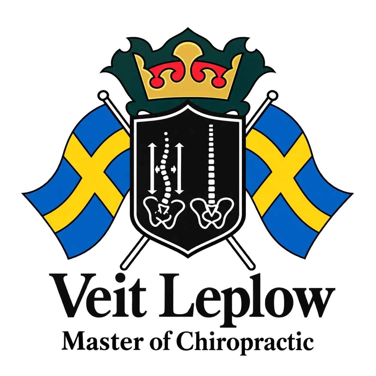 MMA Dresden Unterstützer Veit Leplow