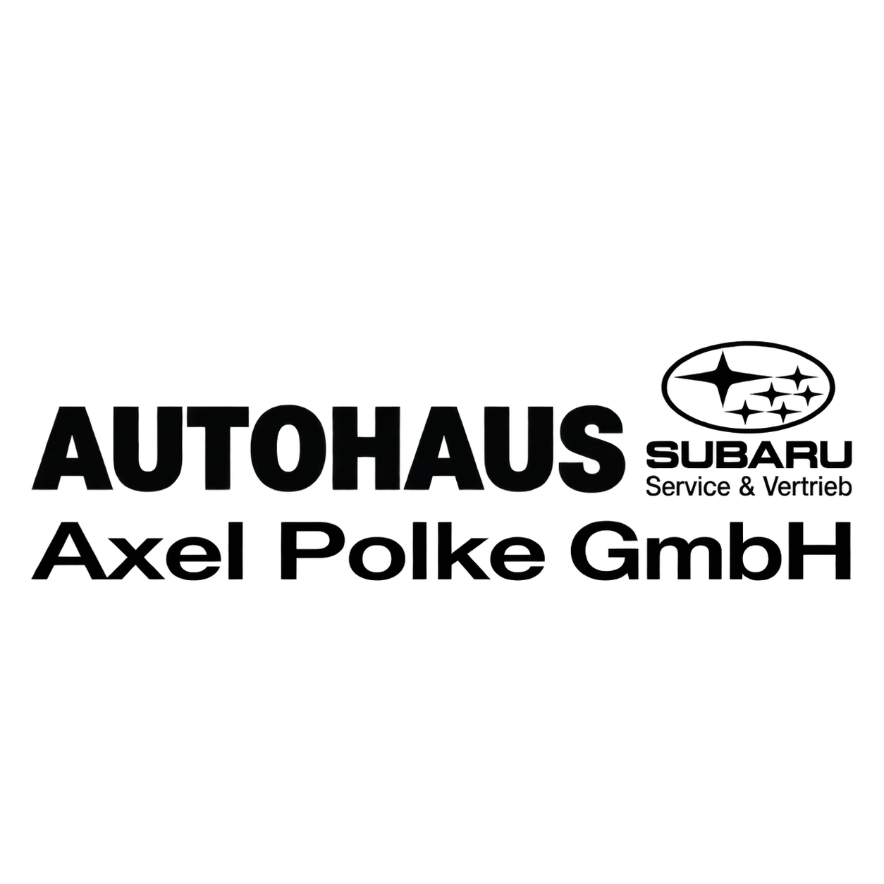 MMA Dresden Unterstützer Autohaus Polke