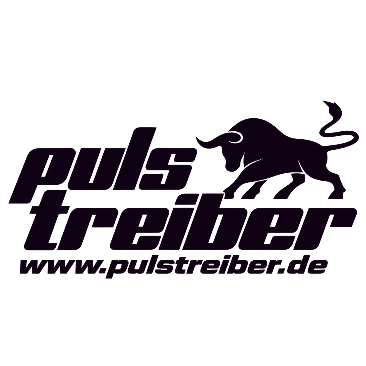 MMA Dresden Unterstützer Pulstreiber